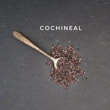 Load image into Gallery viewer, cochineal on a spoon on a dark slate background