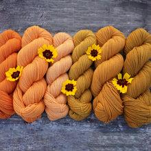 Load image into Gallery viewer, Pumpkin Fingering 50g