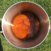 Load image into Gallery viewer, Dyer's Coreopsis Seeds