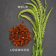 Load image into Gallery viewer, logwood shavings and weld on dark slate background