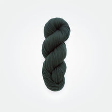 Load image into Gallery viewer, Seaweed DK yarn, logwood & weld, greenish-black, naturally dyed yarn, non-superwash, 260 yards, Merino/Rambouillet cross wool