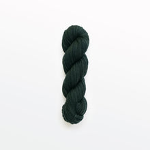 Load image into Gallery viewer, salamander fingering yarn, logwood, weld, & fustic wood, greenish black, naturally dyed yarn, non-superwash, 225 yards, merino/rambouillet cross wool