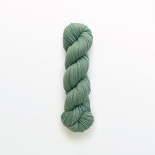 Load image into Gallery viewer, sea foam fingering yarn, pin cushion, aqua, naturally dyed yarn, non-superwash, 225 yards, merino/rambouillet cross wool