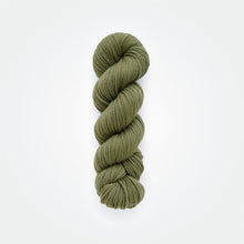 Load image into Gallery viewer, Fern worsted yarn, logwood & weld, olive-green, naturally dyed yarn, non-superwash, 240 yards, Merino/Rambouillet cross wool