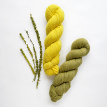 Load image into Gallery viewer, Natural Dye Kit