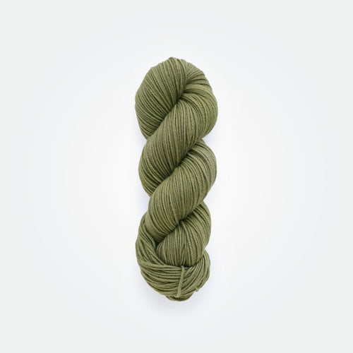 Fern DK yarn, logwood & weld, olive-green, naturally dyed yarn, non-superwash, 260 yards, Merino/Rambouillet cross wool