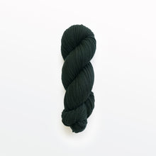 Load image into Gallery viewer, salamander DK yarn, logwood, weld, &amp; fustic wood, greenish-black, naturally dyed yarn, non-superwash, 260 yards, Merino/Rambouillet cross wool
