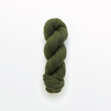 Load image into Gallery viewer, fern fingering yarn, weld &amp; logwood, olive green, naturally dyed yarn, non-superwash, 225 yards, merino/rambouillet cross wool
