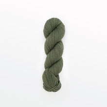Load image into Gallery viewer, fern fingering yarn, weld &amp; logwood, olive green, naturally dyed yarn, non-superwash, 225 yards, merino/rambouillet cross wool
