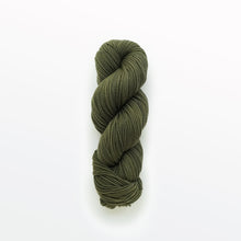 Load image into Gallery viewer, Fern DK yarn, logwood &amp; weld, olive-green, naturally dyed yarn, non-superwash, 260 yards, Merino/Rambouillet cross wool
