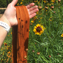 Load image into Gallery viewer, Dyer's Coreopsis Seeds
