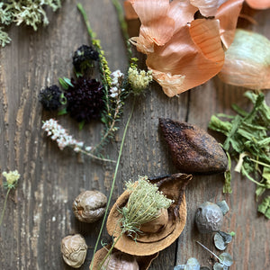natural dye materials: black knight scabiosa, heather, lichen, weld, dried avocado skins and pits, and yellow onion skins on wood background