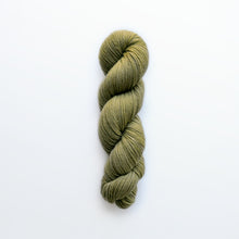 Load image into Gallery viewer, Pepita worsted yarn, fustic wood, medium mossy green, naturally dyed yarn, non-superwash, 240 yards, Merino/Rambouillet cross wool
